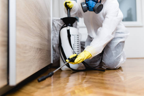 Best Cockroach Control Services  in Remgton, IN