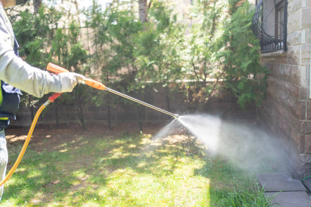 Best Flea Control Services  in Remgton, IN