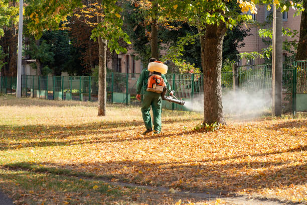 Best Commercial Pest Control Services  in Remgton, IN